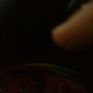 Meet your Posher, Madi